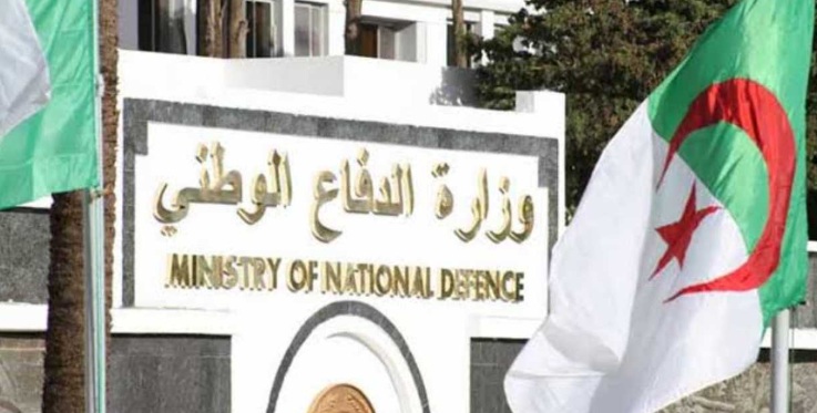 الجزائر.. وفاة عسكريين واصابة آخرين في حادث سقوط طائرة عسكرية 