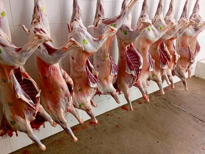 القصرين.. حجز ماشية مهربة من القطر الجزائري والانطلاق في ذبحها وضخها بنقطة البيع من المنتج إلى المستهلك 