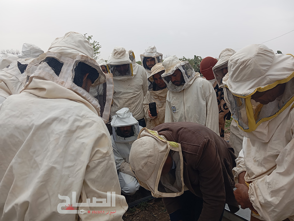  الأولى من نوعها في تونس/ ضيعة حقلية بسيدي بوزيد.. خطوة جديدة نحو دعم الفلاحة البيولوجية 