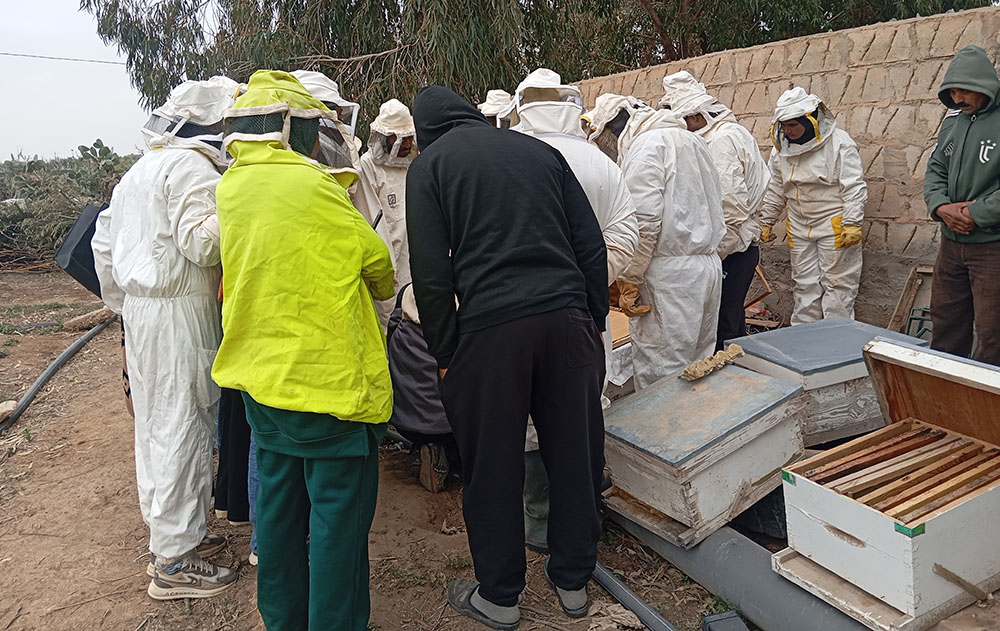 🔴الأولى من نوعها في تونس.. ضيعة حقلية بسيدي بوزيد