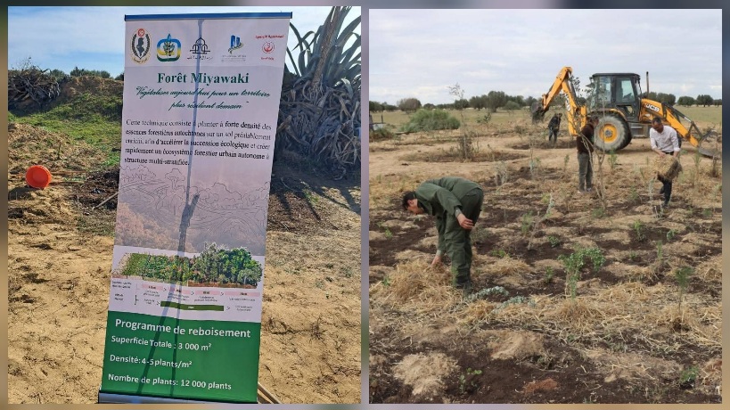  منزل المهيري.. انطلاق حملة تشجير بالمدينة الطبية الأغالبة بتقنية “ماياواكي” لتعزيز الفضاءات الخضراء