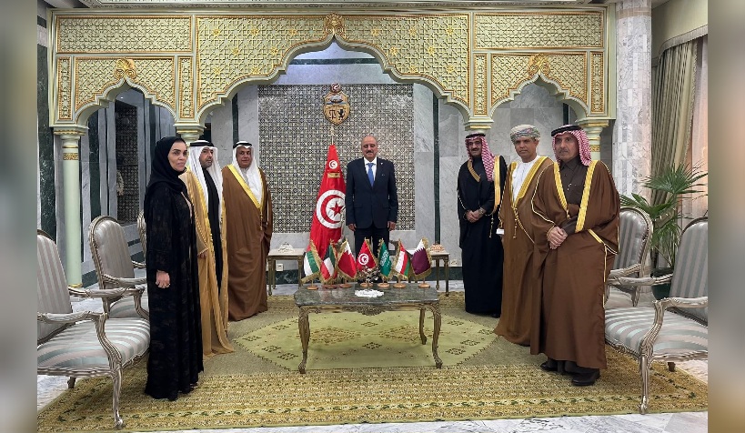 النفطي يستقبل سفراء دول مجلس التعاون الخليجي المعتمدين بتونس 