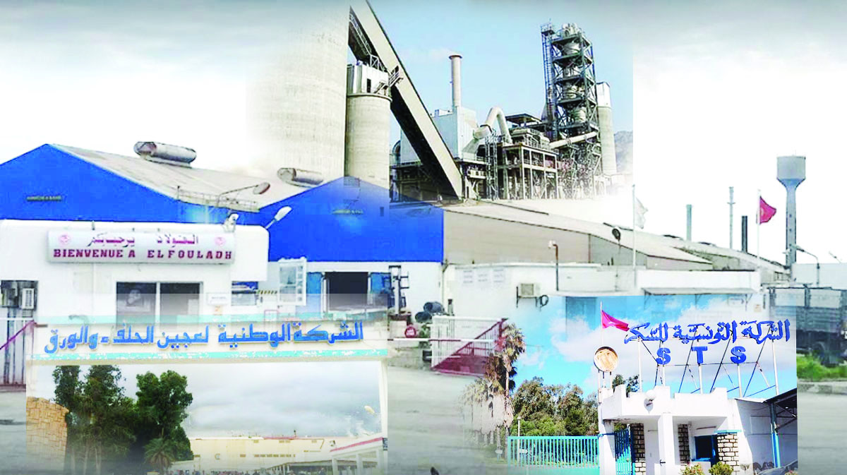 إعادة هيكلة مؤسسات عمومية كبرى.. قاطرة للنمو ودعامة حقيقية للاقتصاد