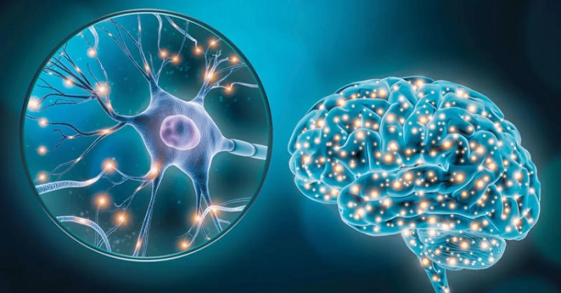ملتقى وطني ودولي بداية من الخميس القادم..   التكفل بالأطفال المصابين ودعم الإجراءات العلاجية كحلول لحماية الأطفال من أمراض الأعصاب