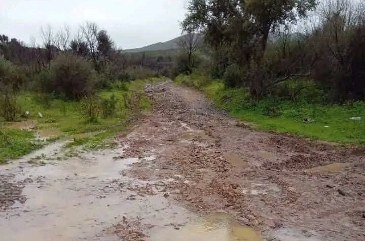 بنزرت.. نحو  تهيئة 5 كم من المسالك الريفية