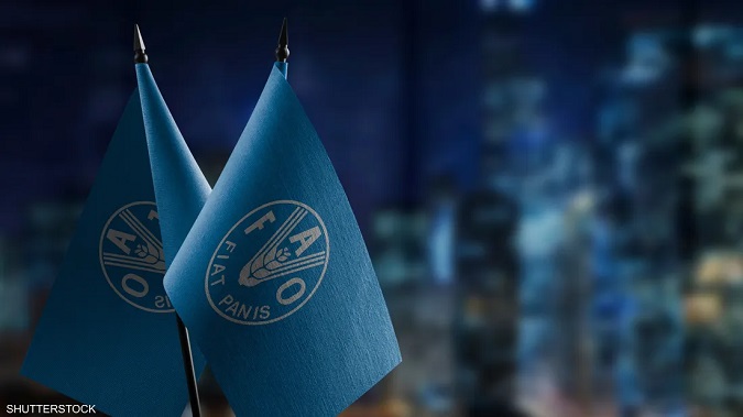 خبير بـ"الفاو" يُحذّر من "تداعيات خطيرة" إذا طالت "حرب إيران"