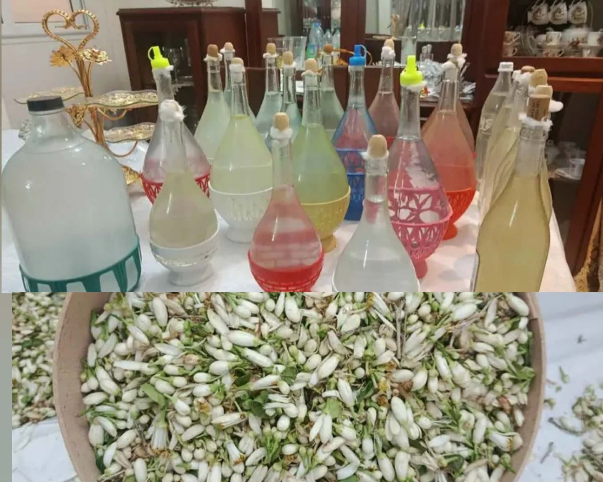 طبربة: تقطير الزهر.. متعة في جمع الأزهار ومصدر للرزق