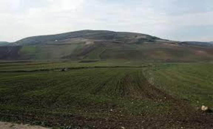 منوبة .. 5 ضيعات فلاحية على ذمة الشركات الأهلية للكراء بالمراكنة