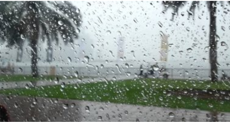 طقس الليلة.. كثيف السحب مع أمطار بهذه المناطق 
