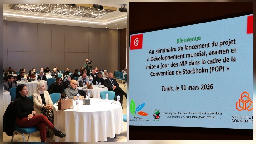 الخطة الوطنية لتنفيذ اتفاقية استكهولم حول الملوّثات العضوية الثابتة.. أبرز الأهداف