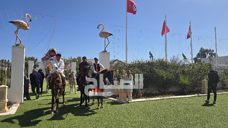 مدنين.. انطلاق صالون الفلاحة والماء والصيد البحري والطاقات المتجددة