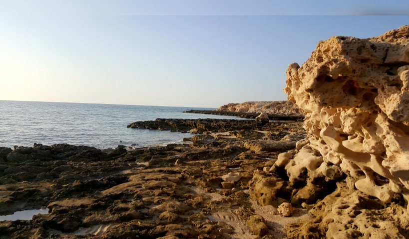 جربة حومة السوق.. بحر سيدي جمور يلفظ جثة مجهولة الهوية ومتآكلة