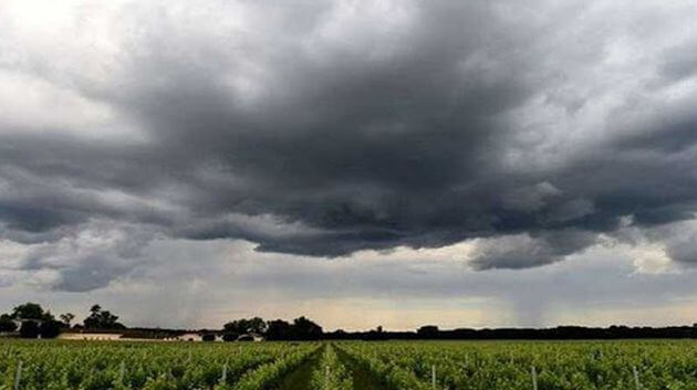 تقلبات جوية.. وزارة الفلاحة تصدر بلاغا تحذيريا 