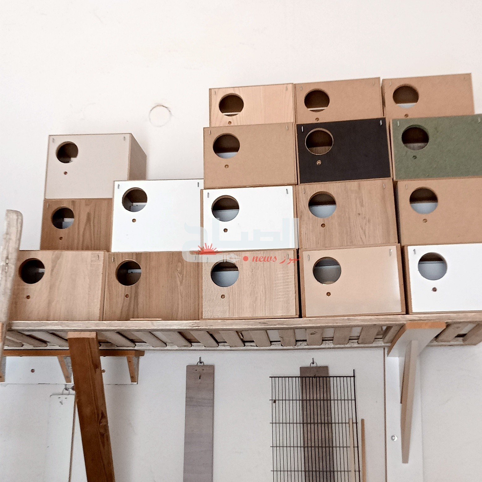 🔴القيروان.. حرفي يصارع اندثار صناعة الأقفاص ويدعو الشباب إلى تعلم المهنة