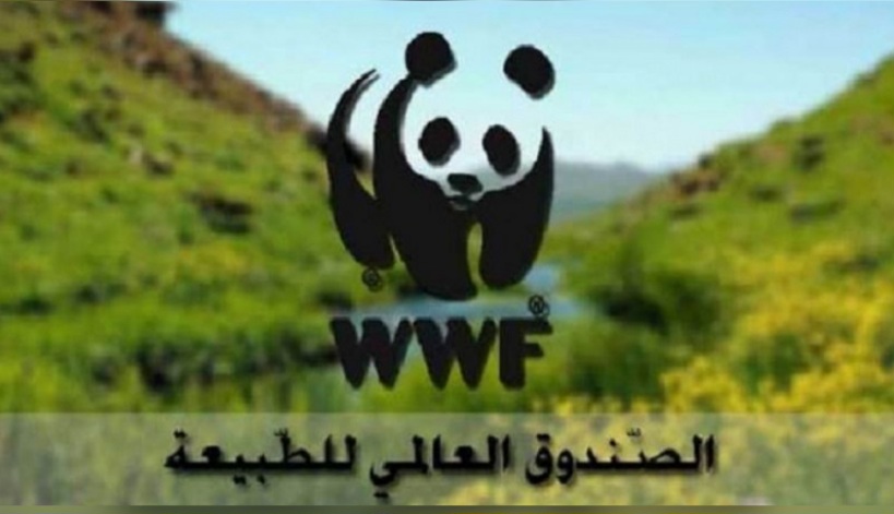 من خلال كذبة أفريل.. الصندوق العالمي للطبيعة في شمال إفريقيا يندد بالتلوث البلاستيكي 