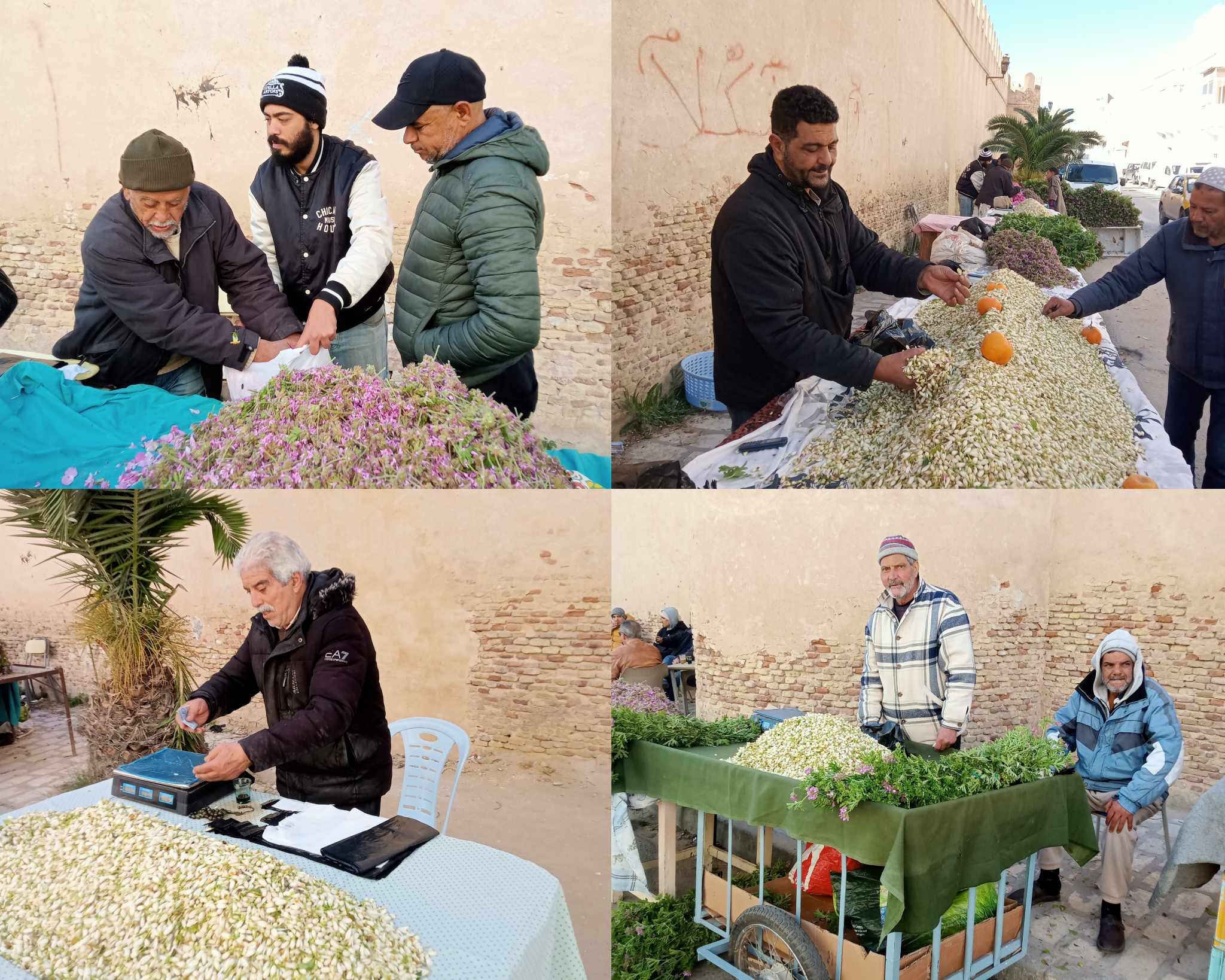 القيروان.. حركية ربيعية وانتعاش في سوق العطرشية والزهر مع ترقب انطلاق جني الورد