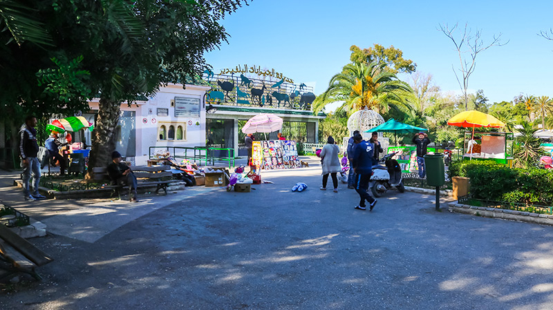 قرار بغلق حديقة الحيوانات بالبلفدير.. الأسباب والتفاصيل