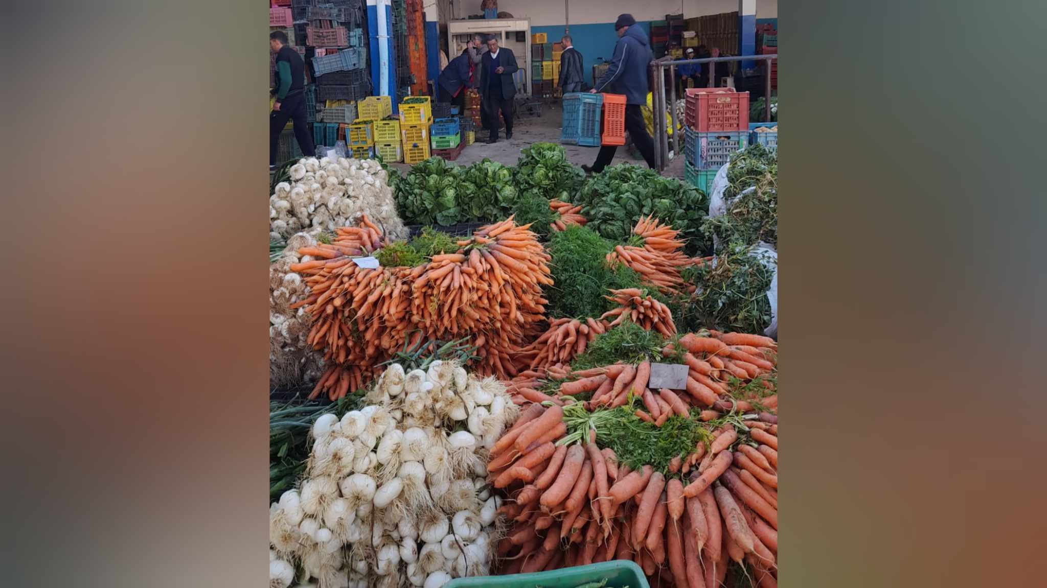 القلعة الكبرى: تراجع ملحوظ في أسعار عديد المنتوجات الفلاحية والسّمكية 