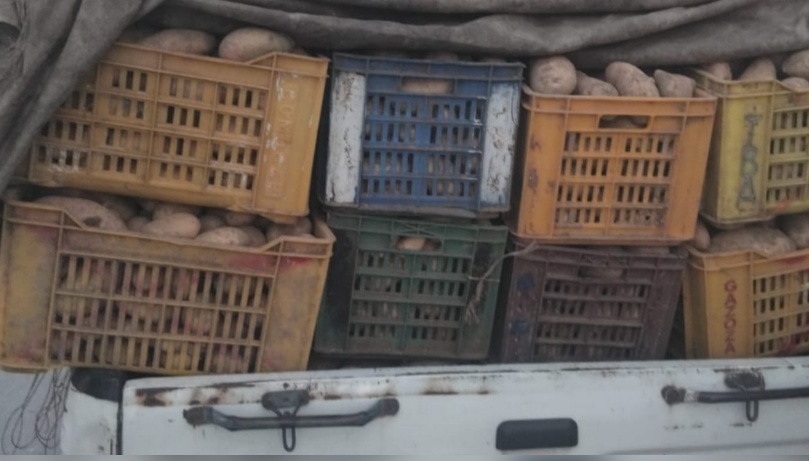البطان/منوبة.. حجز 2000كغ من البطاطا المعدة للاستهلاك