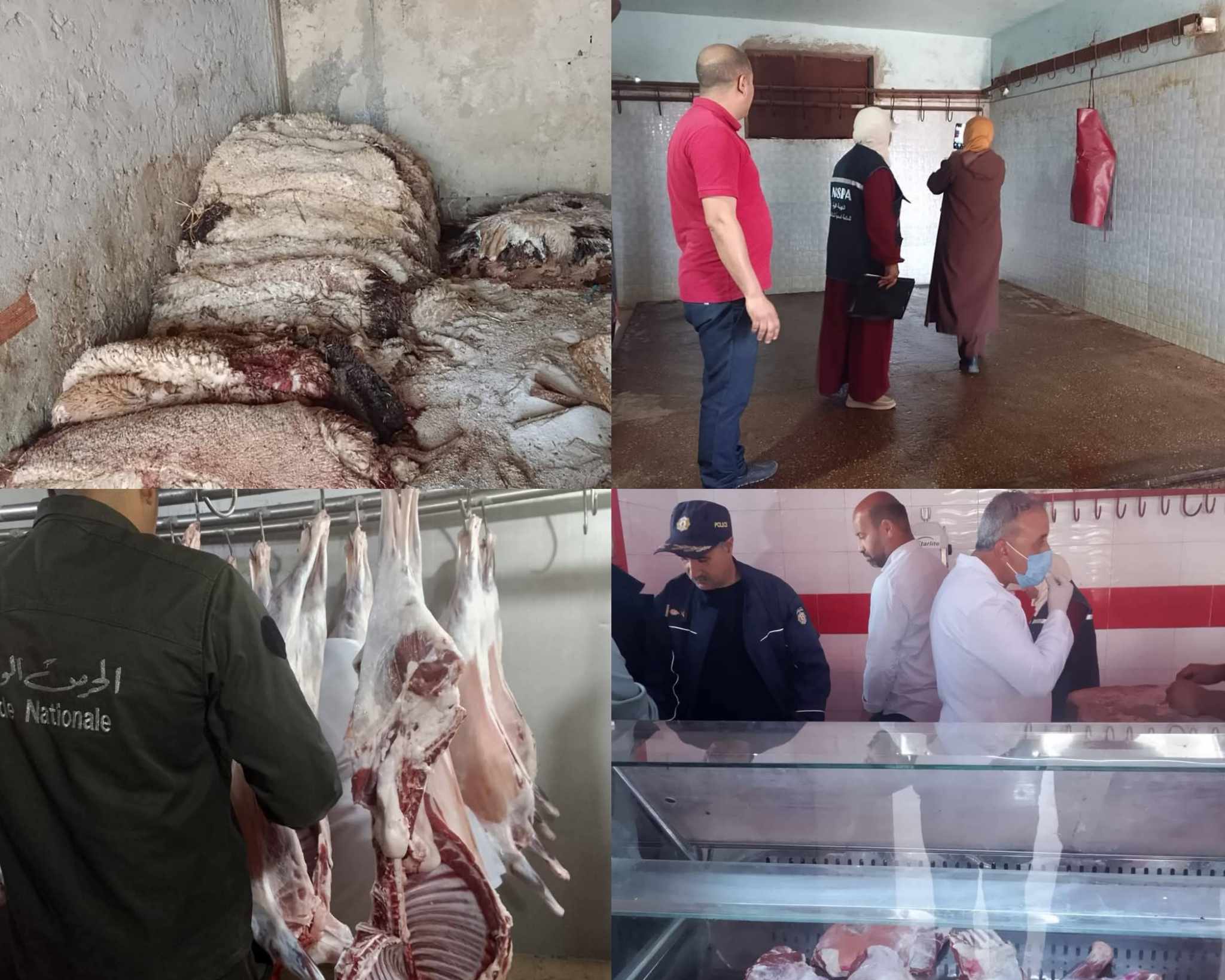 مدنين.. تسجيل مخالفات وتحرير محاضر وحجز كميات من اللحوم