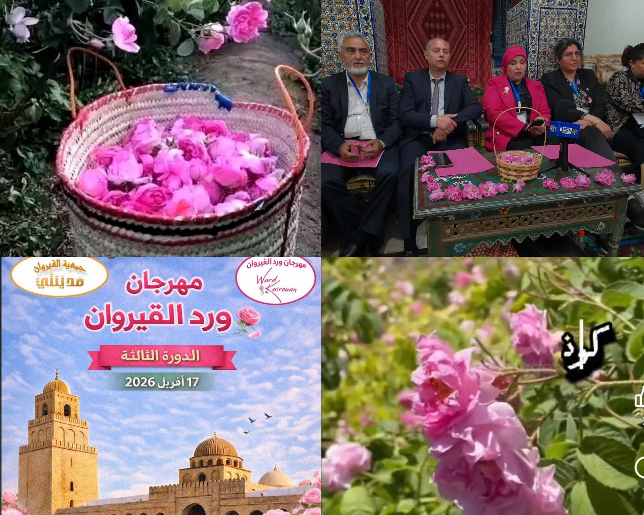 القيروان تزهر من جديد.. “ورد القيروان حكاية” عنوان دورة ثالثة تعد ببرنامج ثري