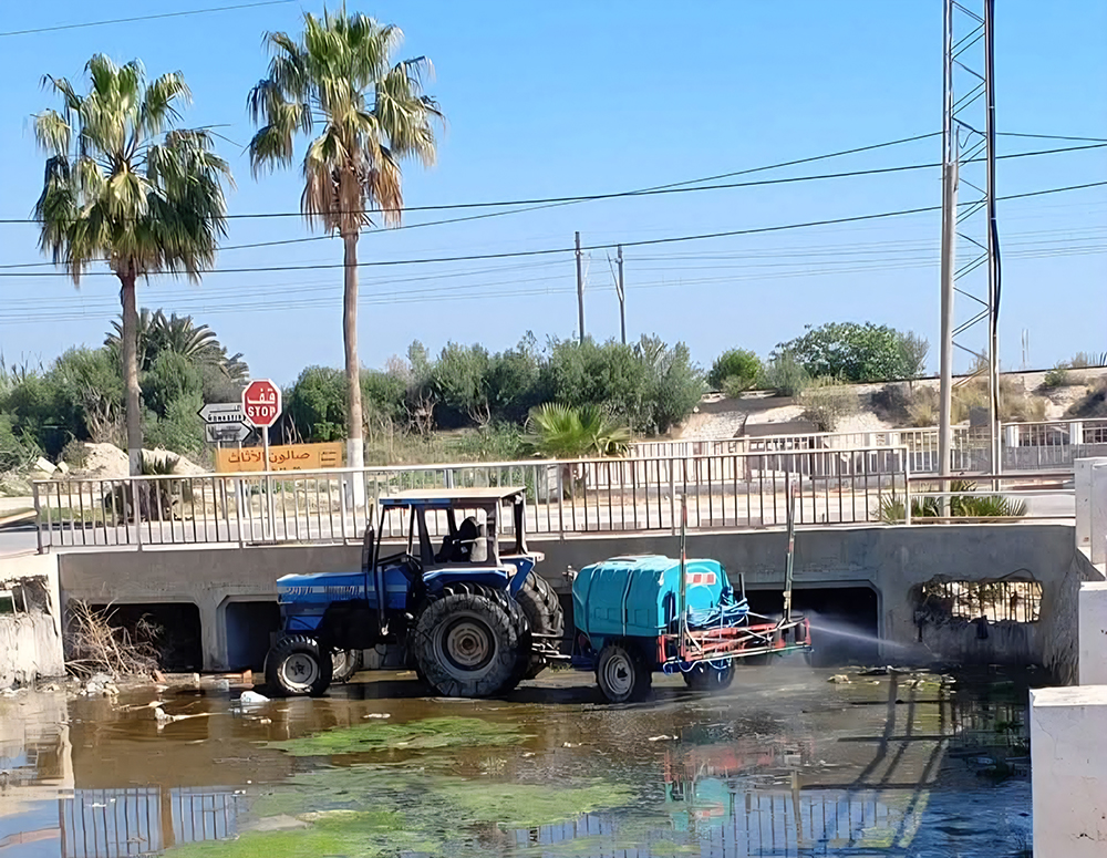  تزامنا مع بداية موسم تكاثرها.. بلديات المنستير تنفذ تدخلات ميدانية لمقاومة الحشرات والعناية بالبيئة 