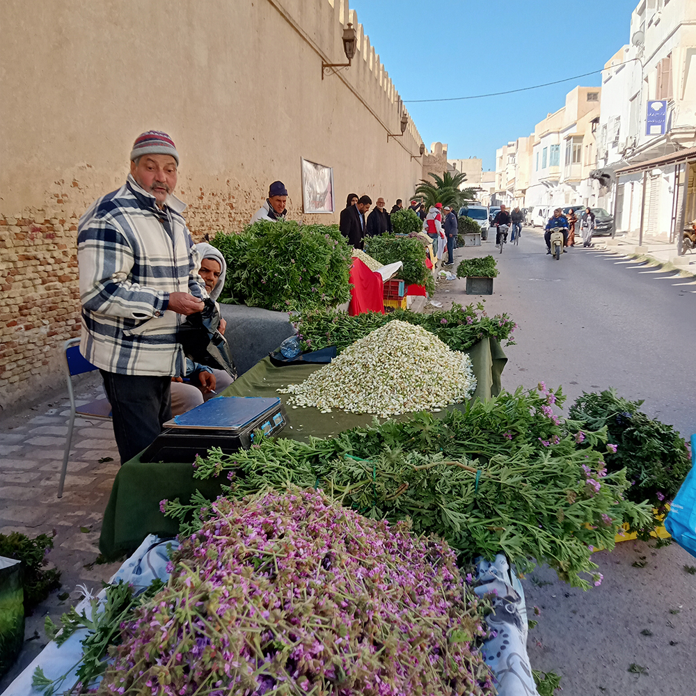 القيروان.. انتعاشة موسمية في سوق الورد والزهر والعطرشية وأسعار في المتناول
