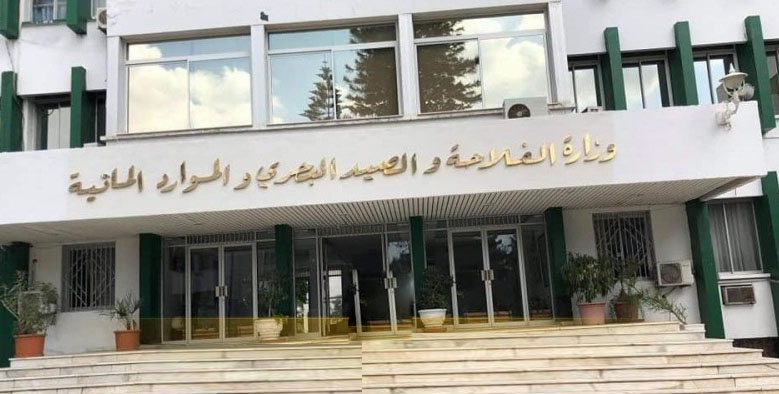 وزارة الفلاحة تدعو الى اتخاذ الاحتياطات اللازمة لمواجهة التقلبات الجوية المنتظرة الثلاثاء