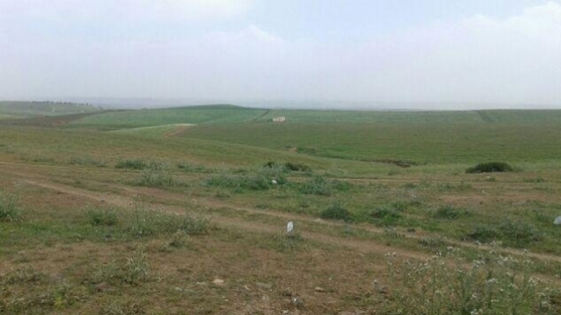 النفيضة.. استرجاع عقار دولي يمسح قرابة 55 هكتارا