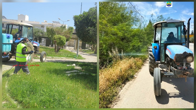 المنستير.. تواصل مقاومة الحشرات بالمداواة الكيميائية بالأوكار