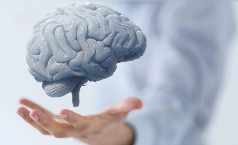  كيف نحافظ على قوة الدماغ مع التقدم في العمر؟