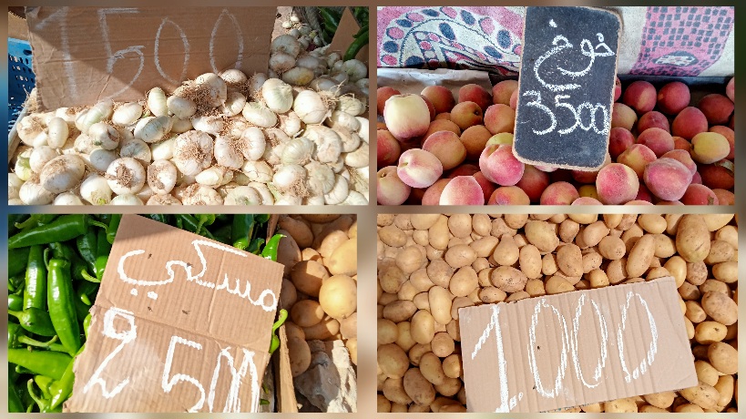 القيروان.. تراجع أسعار الخضر ومؤشرات على مزيد الانخفاض في قادم الأيام