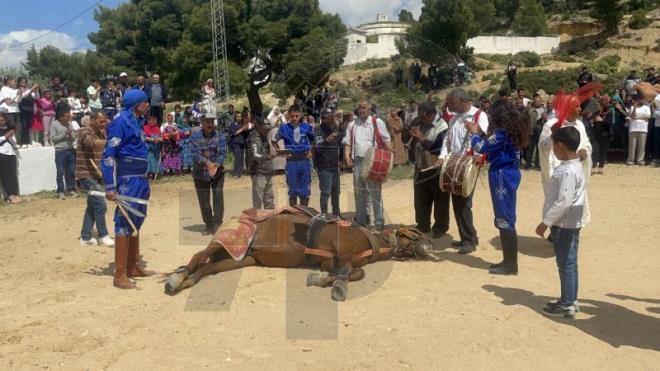 سليانة.. انطلاق مهرجان ربيع السرج