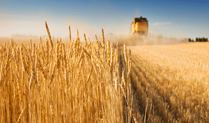  بنزرت.. استعدادات لموسم الحصاد