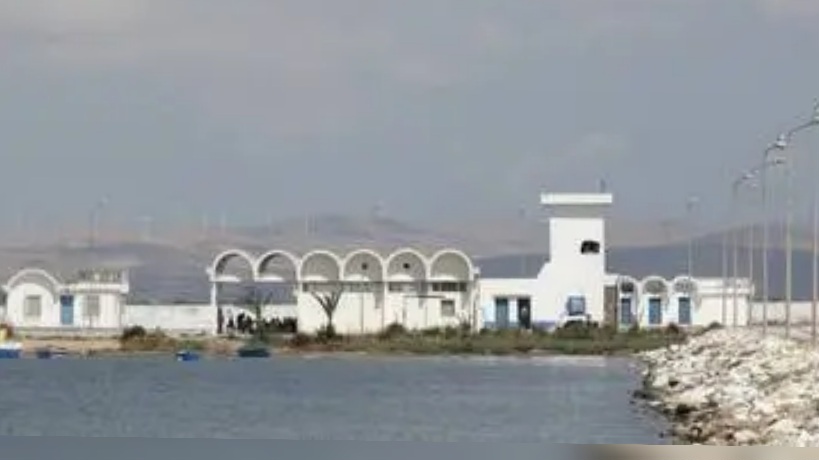 أريانة.. بحارة قلعة الأندلس يطالبون بحماية مورد رزقهم في حال إقامة مشروع منتظر لتربية الأحياء المائية