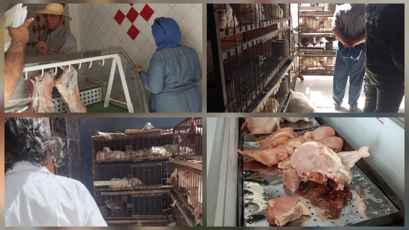 مدنين.. حجز كمية من لحم الدجاج غير الصالح للاستهلاك