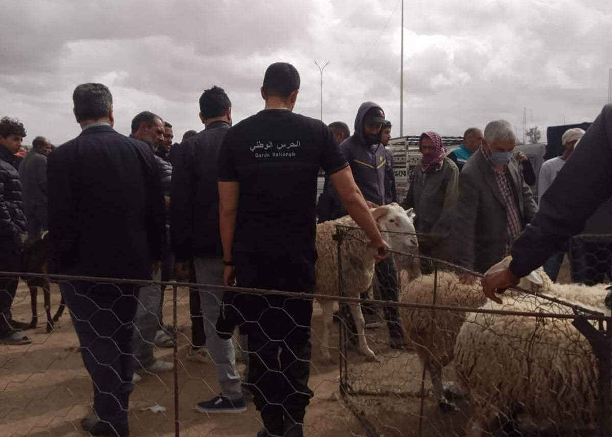  مدنين.. حملة مُشتركة للمراقبة الصحية بسوق الدواب