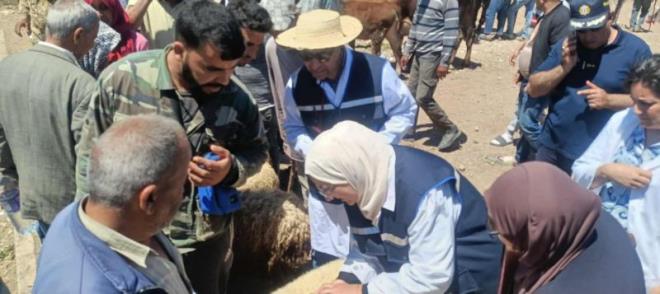 هيئة السلامة الصحية تضع فريقا من الأطباء البياطرة على ذمّة العموم طيلة فترة العيد