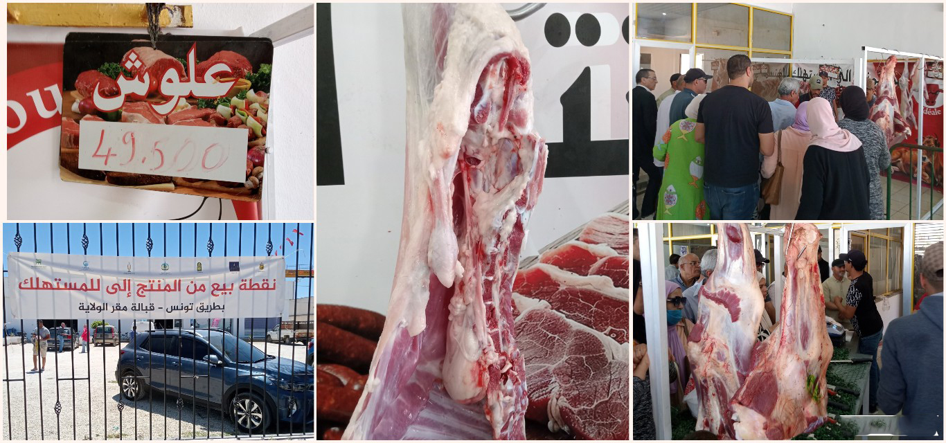 القيروان..إقبال على نقطة بيع اللحوم من المنتج إلى المستهلك والأسعار في المتناول القيروان..إقبال على نقطة بيع اللحوم من المنتج إلى المستهلك والأسعار في المتناول