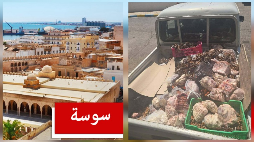 سوسة.. حجز 475 كغ من اللحوم غير صالحة للإستهلاك و42 كغ كبدة مجمّدة 