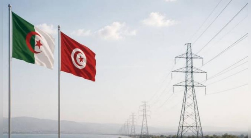 نحو تعزيز التعاون التونسي الجزائري في مجال الطاقة