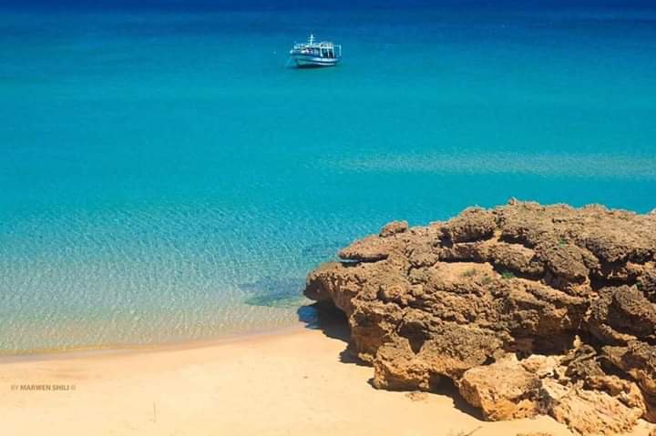 بنزرت.. حادث غوص خطير في سجنان