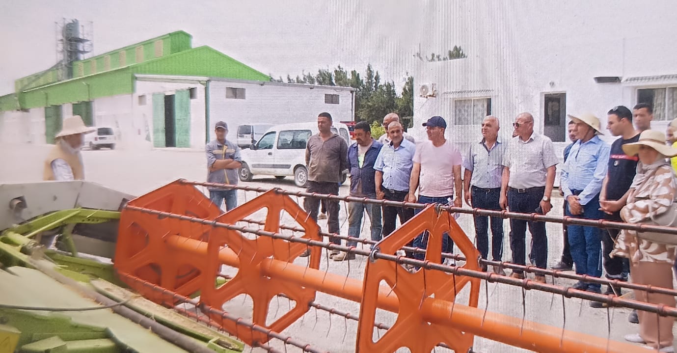 نابل.. توقعات بإنتاج 900 الف قنطار من الحبوب هذا الموسم