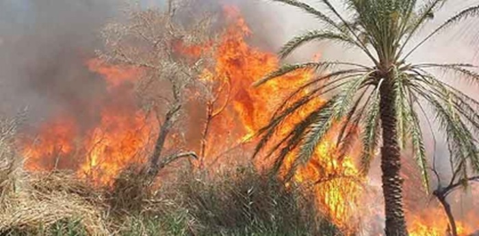 دوز .. حريق بالمسلك السياحي يأتي على 30 من رؤوس النخيل