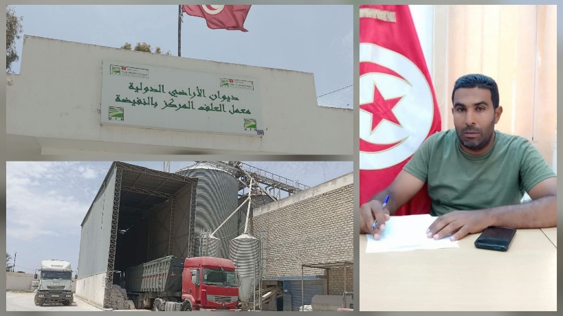 عضو المجلس المحلي بالنفيضة لـ"الصباح نيوز ": تطوّر مهمّ في معدل الإنتاج الشهري لمعمل الأعلاف