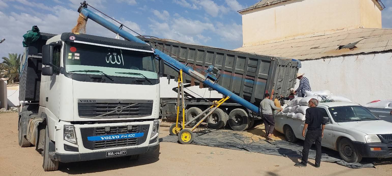 السبيخة.. انسيابية في تجميع صابة الحبوب بمركز ديوان الحبوب