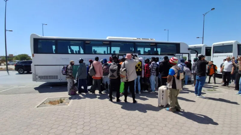 تمهيدًا لتنفيذ رحلات جديدة للعودة الطوعية..   انطلاق تجميع للمهاجرين غير النظاميين في مخيم «الكيلومتر 21» بالعامرة