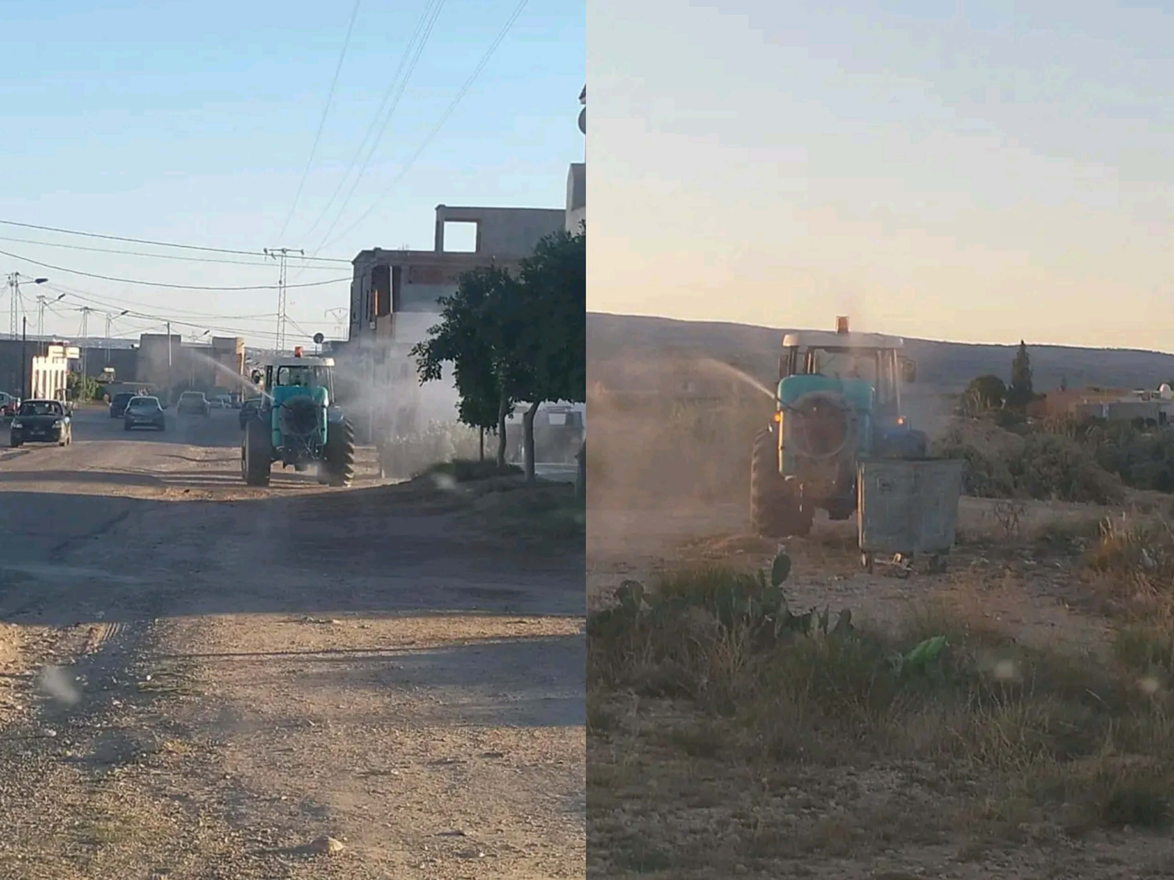  القصرين/بوزقام: انطلاق حملات مداواة للحشرات بعد غزو الحشرة القرمزية لمنازل المتساكنين