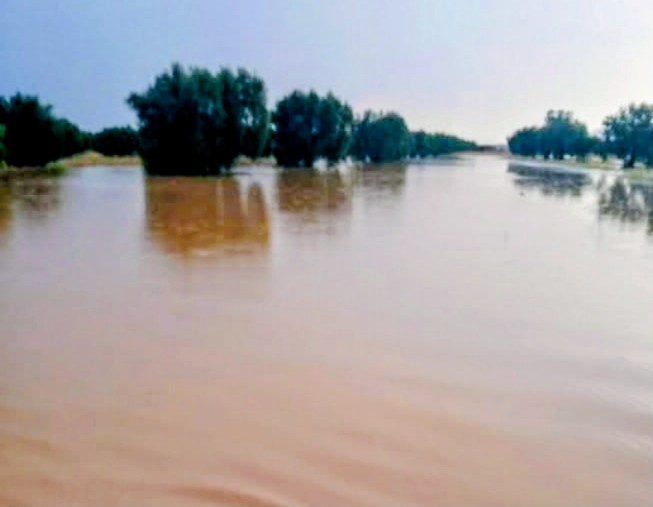  رئيس الاتحاد الجهوي للفلاحة بالقيروان لـ"الصباح نيوز": التساقطات الأخيرة دعمت عددا من الزراعات مع تسجيل أضرار موضعية