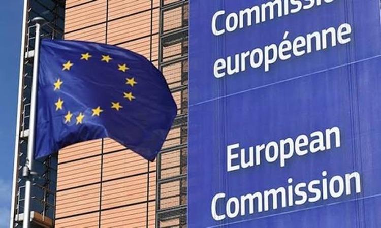 المفوضية الأوروبية تسعى لتحسين مكافحة الجريمة المنظمة عبر الحدود